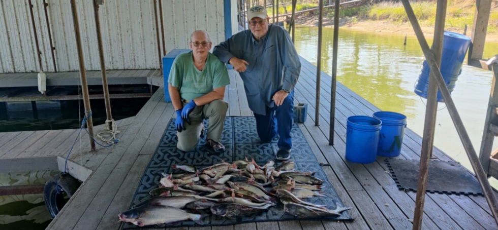 Best Catfish Bait | Tony P's Punch Bait