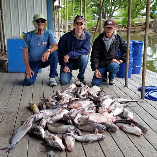 Why use punch bait for Catfish on Lake Tawakoni Texas