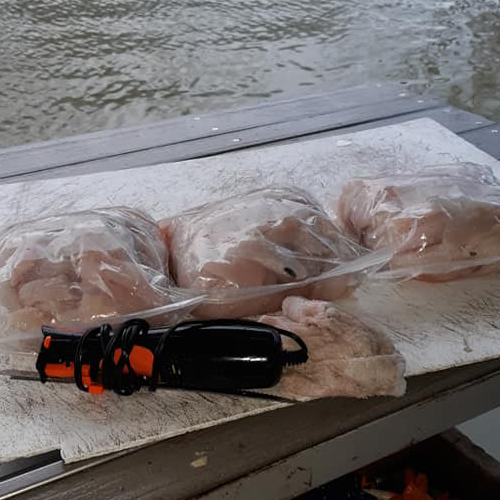 Why Use Punch Bait for Catfish? Best Catfish Bait Guide Tony Pennebaker