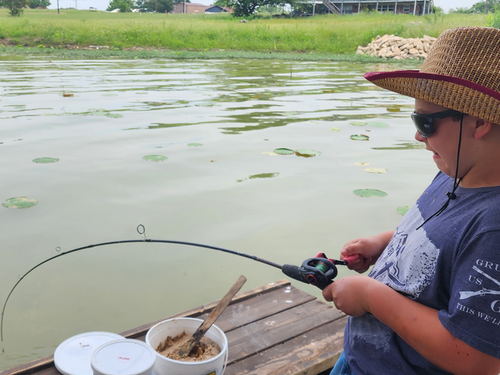 Angler demonstrating the baiting technique using punch bait and a stick