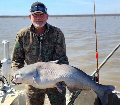 monster blue catfish caught on punch bait