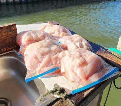 Catfish fillets from Lake Tawakoni