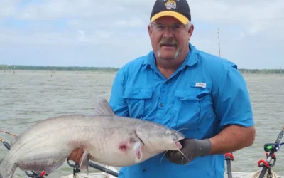 Best Hooks for Catfish Punch Bait